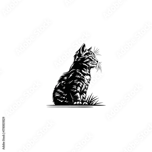 vector illustration of a black and white cat