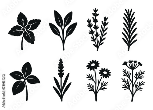 Silhouette icons of seven aromatic herb designs on dark background
