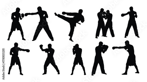 Combat sports and martial arts silhouettes isolated on transparent background, Vector