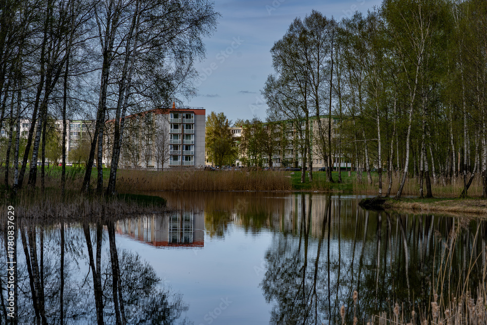 Fototapeta premium Calm Pond with Tree Reflections — City Park View