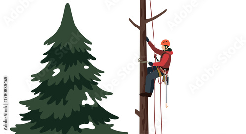 Arborist climbing tree in winter forest with safety gear