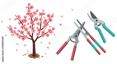 Cherry blossom tree and garden shears for spring gardening