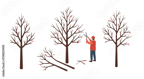 Tree pruning process with gardener using shears in minimalist design