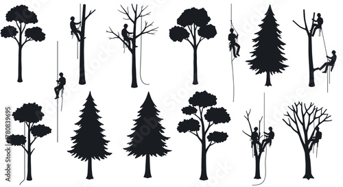 Silhouette of arborists climbing various trees for maintenance and pruning