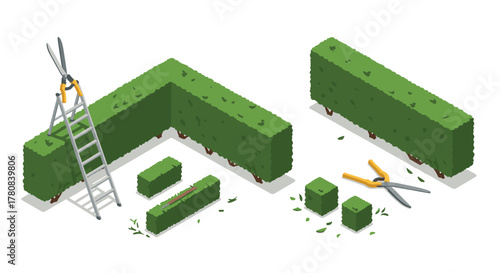 Isometric garden hedge trimming with ladder and shears
