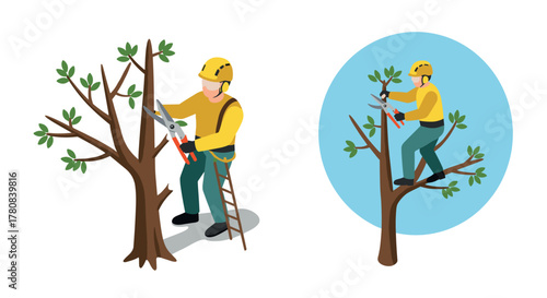 Professional arborist pruning tree branches safely in isometric style