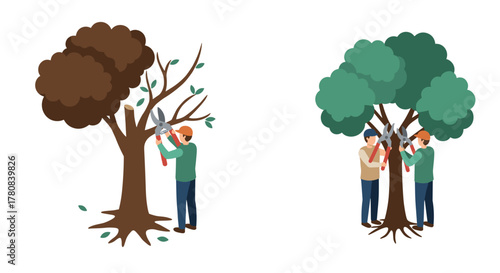 Tree pruning techniques twomember team versus solo approach in flat design