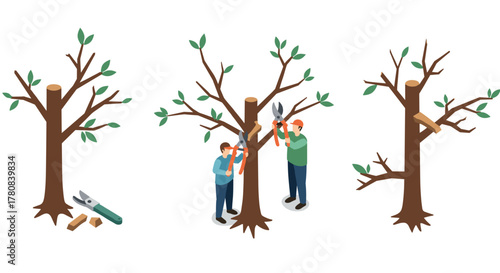 Isometric tree pruning scene with gardeners and tools in action