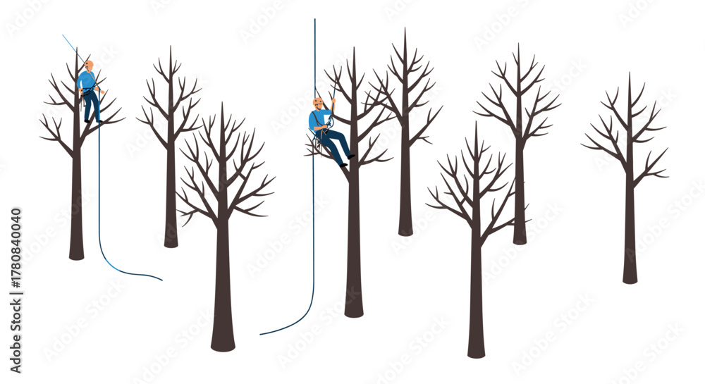 Fototapeta premium Arborists pruning trees with ropes in winter forest