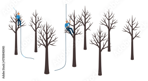 Arborists pruning trees with ropes in winter forest