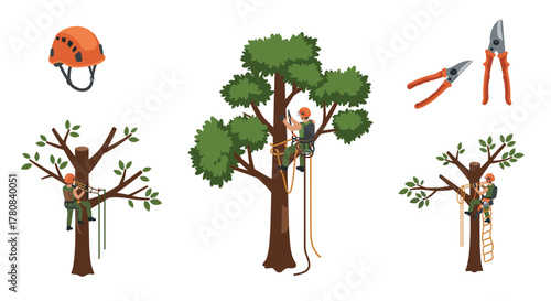 Tree maintenance with arborists climbing and pruning in detailed isometric design