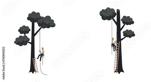 Tree climbing with safety gear professional arborist in action