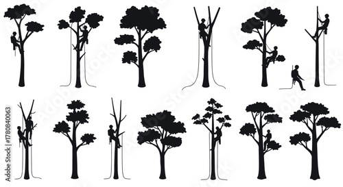 Arborist silhouettes in various tree climbing positions for conservation and forestry