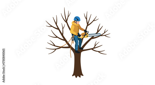 Arborist climbing tree with chainsaw performing tree pruning in safety gear on leafless branches