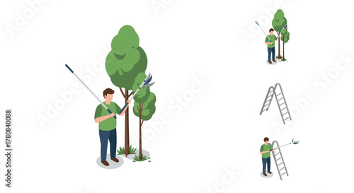 Man trimming trees in isometric style with tools and ladder for garden maintenance