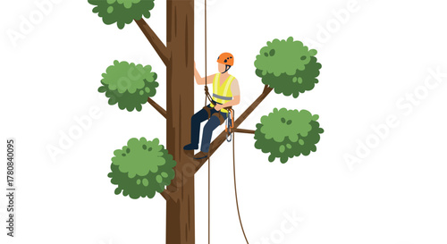 Arborist climbing tree for professional maintenance with safety gear