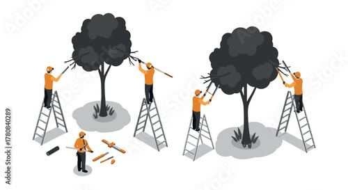 Isometric tree trimming scene with workers on ladders in orange uniforms