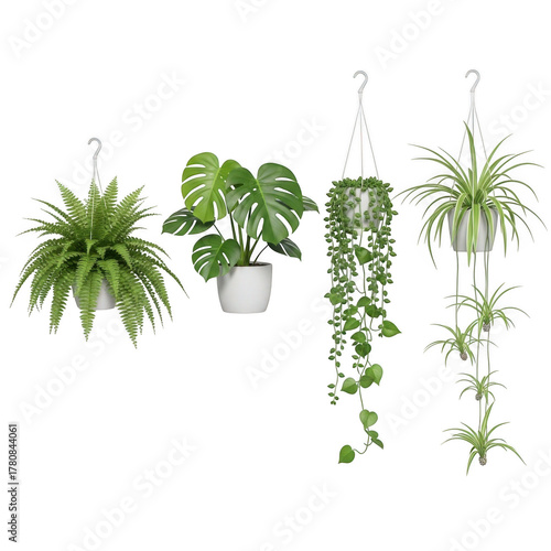 Assorted hanging potted plants displayed artfully against a transparent background