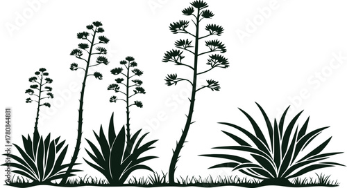 Elegant agave plants in silhouette, a modern botanical illustration evoking arid landscapes, perfect for eco-friendly or nature-inspired designs.