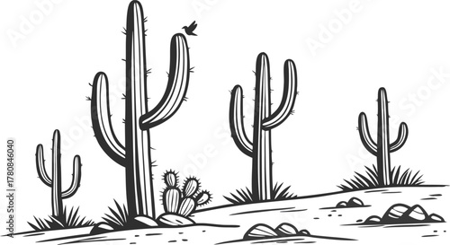 Bold desert landscape sketch with towering cacti and a tiny bird, perfect for nature lovers and travel enthusiasts, originally a scalable graphic