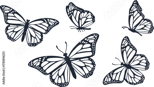 Delicate butterflies fluttering in a group, a symbol of transformation and beauty, evoking freedom and natural grace. Perfect for spring designs.