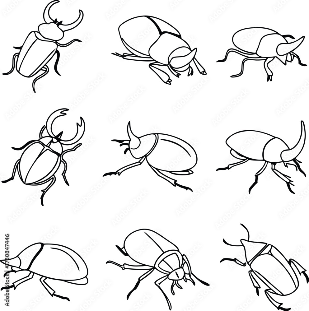 Fototapeta premium Detailed insect outlines perfect for educational materials, scientific illustrations, or minimalist designs, originally crafted as a scalable vector graphic