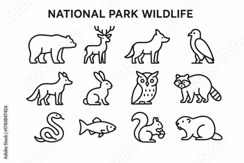 National Park Wildlife Icons. National park wildlife. Line outline icon set of national park wildlife: bear,