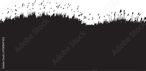 Black silhouette of grass and reeds on white background