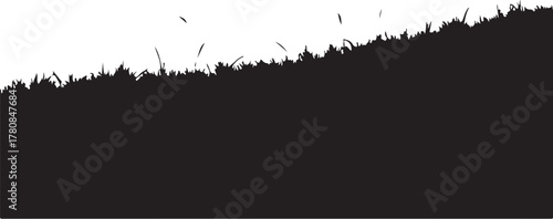 Black silhouette of grass blades against white background