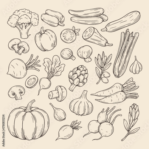 Detailed hand-drawn vector set of various vegetables, perfect for organic food packaging, cookbooks, or healthy lifestyle design.