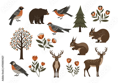 A collection of various forest animals and plants, presented in a flat, illustrative style.