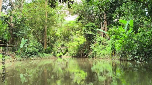 traveling sailing on river lake in tropical forest jungle