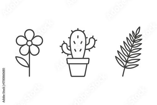 Various outline drawings of a flower, a cactus in a pot, and a fern leaf against a plain background