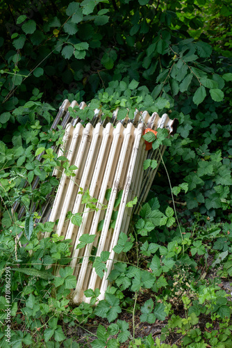 Abandoned Radiator Overgrown With Greenery in Dense Outdoor Foliage Surrounded by Vines
