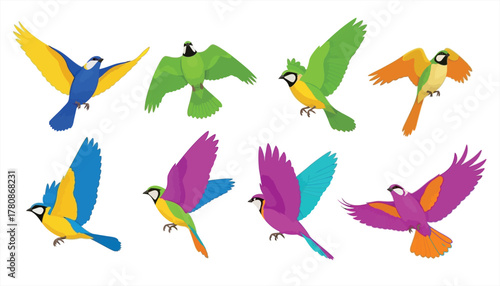 This is a picture of birds of various types with attractive colors.