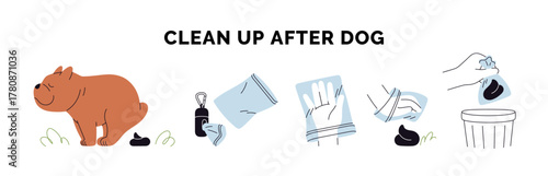Clean up after dog infographic. Canine animal defecation, hand using bag to pick up poop, cleanup feces, waste, throwing dispose into trash bin. Flat vector illustration isolated on white background.