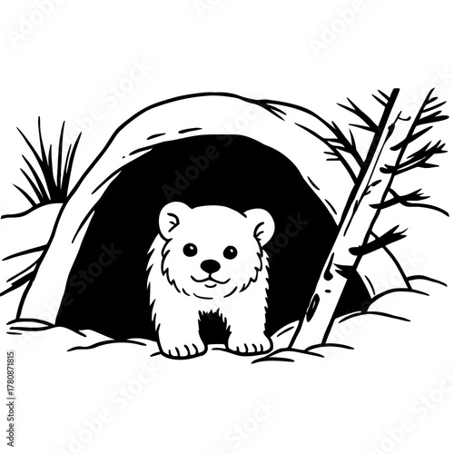 Cute bear cub in a cave