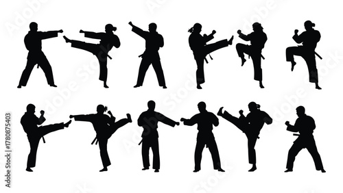 Dynamic martial arts silhouettes isolated on transparent background, Vector