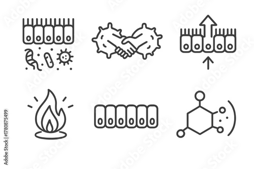 Microbial Interaction Icons. Line style icons of Host-Microbe Interaction: gut lining with microbes, immune cell handshake,