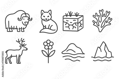 Tundra Icons Collection. Line style icons of Tundra: Musk Ox, Arctic Fox, Permafrost, Lichen, Caribou, Tundra Flower, Snowdrift,