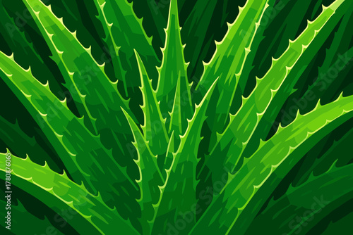 Vibrant Aloe Illustration. Close-up of aloe vera plants with sharp natural lighting highlighting their texture, vibrant green