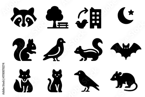 Urban Wildlife Icons. Solid style icons of Urban Wildlife: Raccoon, City Park, Adaptation, Nocturnal, Squirrel, Pigeon, Skunk, Bat