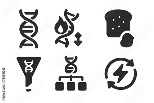 Macronutrient Processing Icons. Solid style icons of macronutrient processing genes: protein helix icon, fat metabolism DNA, carb