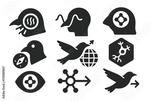 Avian Navigation Icons. Solid style icons of avian magnetoreception models: bird eye with light-sensing field, head diagram with