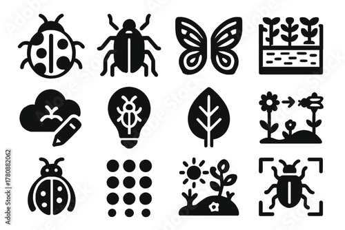 Insect Iconography Inspiration. Solid style icons of Insect inspiration: ladybug sketch, beetle drawing, wing pattern, garden