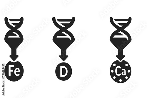 Micronutrient Absorption Icons. Solid style icons of micronutrient absorption: iron + DNA symbol, vitamin D gene path, calcium