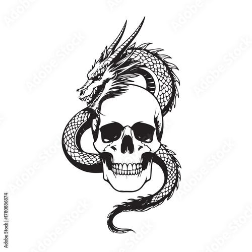 Intricate black and white tattoo design featuring a fierce dragon coiled around a human skull