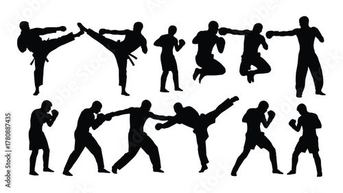 Martial arts and combat silhouettes isolated on transparent background, Vector