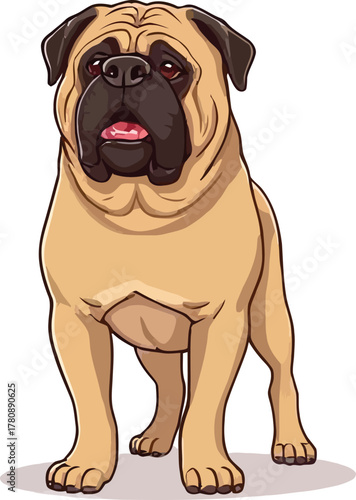 Cute cartoon a illustrator vector Bullmastiff