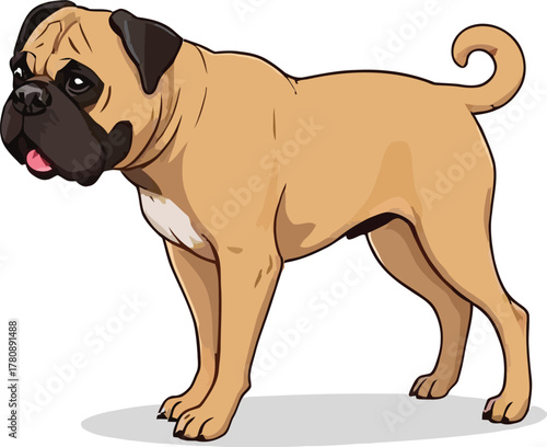 Cute cartoon a illustrator vector Bullmastiff